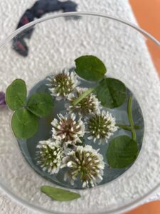 海外製ビルトイン食洗機とキッチン高さの選定方法を徹底解説！適切なキッチン高さの計測と我が家の実例
